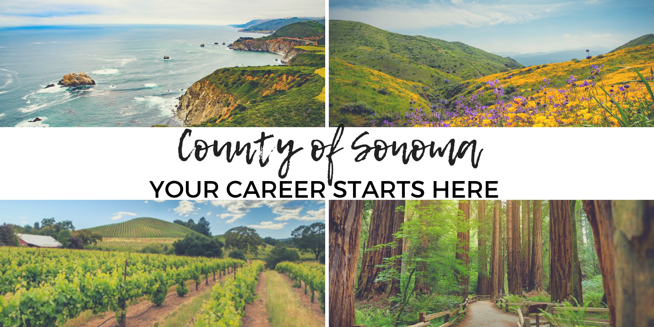Join us and learn about the County of Sonoma's application process.
